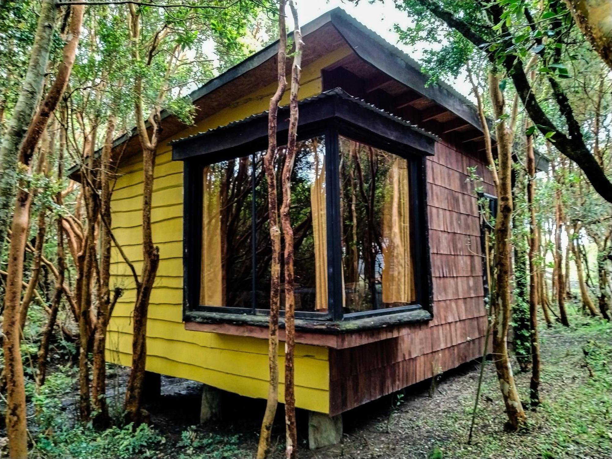 Hostal & Cabanas Luna Del Sur Cucao 外观 照片