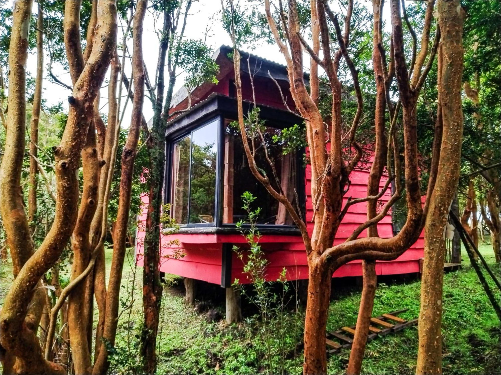 Hostal & Cabanas Luna Del Sur Cucao 外观 照片